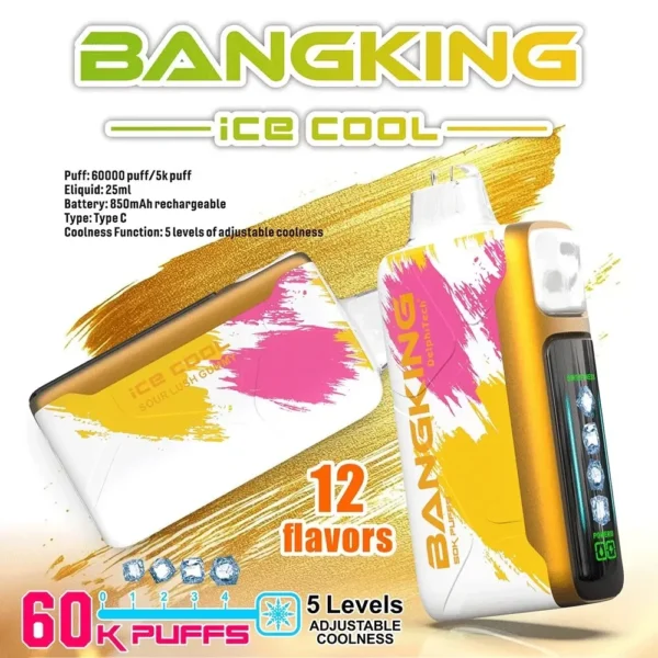 Bang King 60000 拋棄式電子煙｜LED 螢幕顯示 × 五檔冰度調節｜超長續航大容量・多款口味